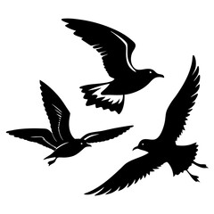 vector silhouette of a bird