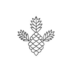 hand drawn vector illustration of a branch of a pineapple