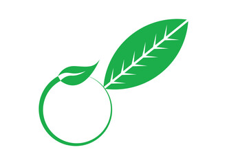 Green leaf icons set. Leaves icon on isolated background. Collection green leaf. Elements design for natural, eco, vegan, bio labels. Vector illustration