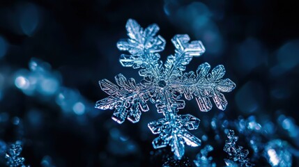 Close-up of a detailed snowflake.