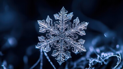 Close-up view of a beautiful snowflake.