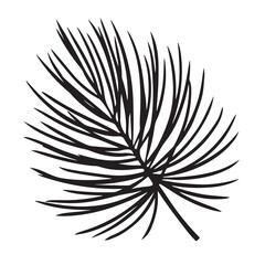 Elegant black and white leaf vector illustration with stylized leaves, a perfect natural design element for patterns or decoration