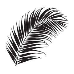 Obraz premium A simple vector silhouette of a palm leaf, isolated on white