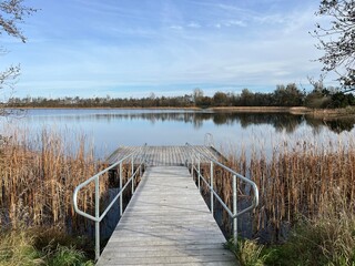 wooden bridge over the lake