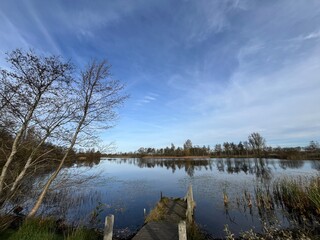 wooden bridge over the lake