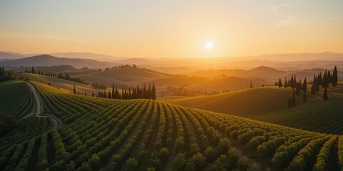  Tuscan Dreamscape Aerial Perspective, Golden Sunset, Verdant Vineyards, Classic Italian Scenery, Peaceful Ambiance
