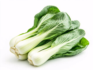 Fresh Organic Bok Choy Isolated on a Bright White Background