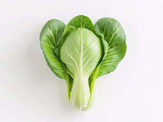 Fresh Vibrant Bok Choy Leafy Green Vegetable on White Background