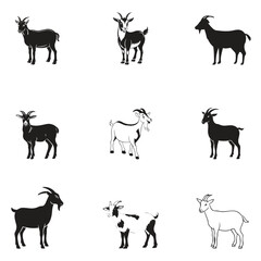 Group goat vector design