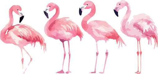 Fototapeta premium Watercolor Flamingo Flock A Group of Four Pink Birds Standing Tall on a White Background Perfect for Summer Designs Tropical Themes and Artistic Illustrations