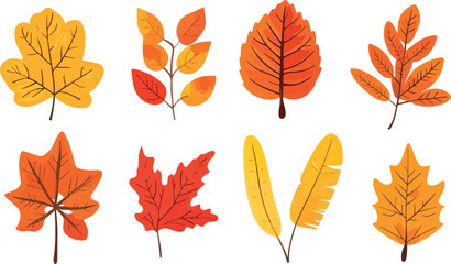 Fototapeta premium Collection of Colorful Autumn Leaves in Various Shapes and Shades Perfect for Fall Season Designs Thanksgiving Themes and Nature Inspired Creative Projects on a White