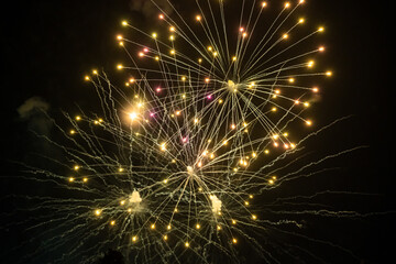 Celebration Fireworks Bursting Over the City