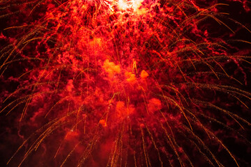 Explosion of Color in the Night Sky