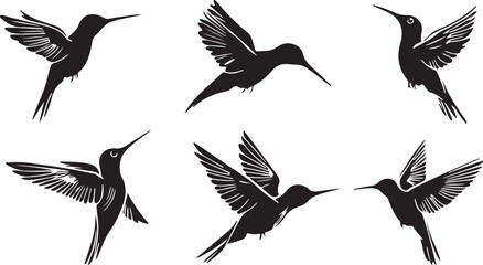 Obraz premium Elegant Silhouette of Hummingbirds in Flight A Vector Illustration Featuring Six Different Poses of These Graceful Birds Perfect for Design and Creative Projects
