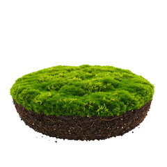 Lush Green Moss Terrarium: Circular Moss Patch, Nature Background Texture on transparent background