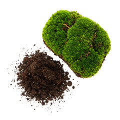 Vibrant Green Moss and Rich Soil: A Textural Contrast on transparent background