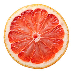 Wheel Slice of Grapefruit – Citrus Fruit Cross-Section on Pure White Background

