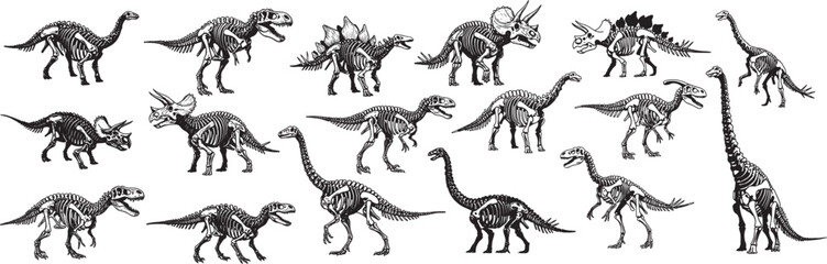 Dinosaur skeletons illustration fossil bones of prehistoric animals extinct reptiles drawing art design © DesignVirtuoso
