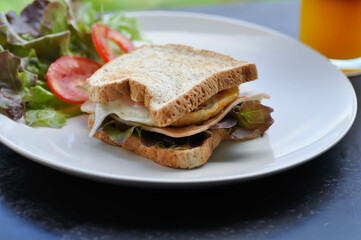 ham and cheese sandwich or egg sandwich with salad