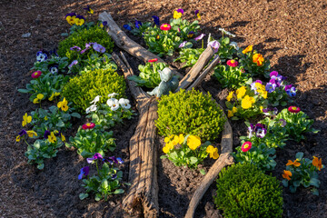 Kleines Blumenbeet mit Stefmütterchen (Viola) und Dekoration, Pinienrinde außen herum