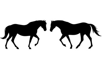 Obraz premium Black horse silhouettes, two horses walking isolated on Transparent Background