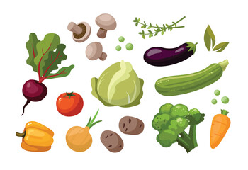 Fresh vegetables on white background. Healthy food concept