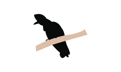 Amazonian umbrellabird bird Silhouette Design  And Vector Illustration. 