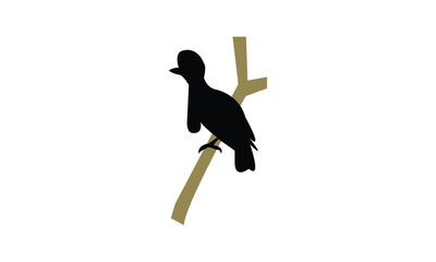 Amazonian umbrellabird bird Silhouette Design  And Vector Illustration. 