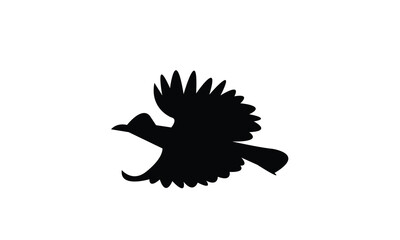Amazonian umbrellabird bird Silhouette Design  And Vector Illustration. 