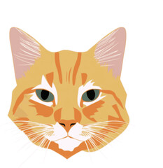 Cat head vector illustration