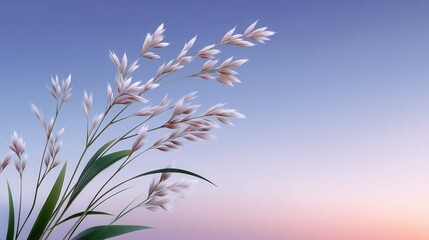 Delicate white flowers with green leaves against a pastel sky.