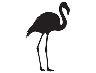 Obraz premium FLAMINGO SILHOUETTE