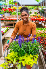 Woman choosing plants in garden center