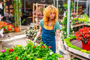 Gardener arranging colorful flowers in garden center