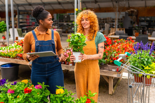 Garden center workers discussing plants using digital tablet