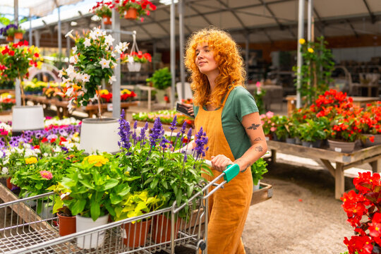Gardener pushing shopping cart with plants in greenhouse - Powered by Adobe