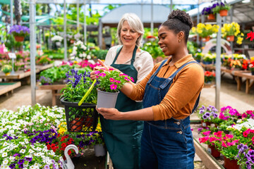 Garden center workers choosing blooming flowers in greenhouse