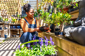 Gardener holding bonsai tree in plant nursery