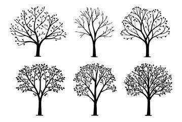 Obraz premium Colorful Autumn Leaves Quercus Palustris Vector