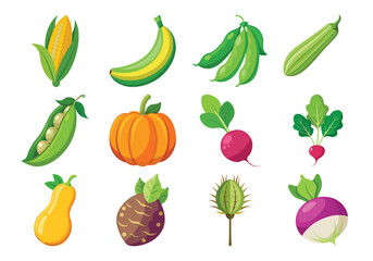 Collection of fresh farm vegetables and fruits