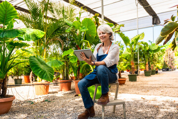 Woman gardener using digital tablet in greenhouse nursery