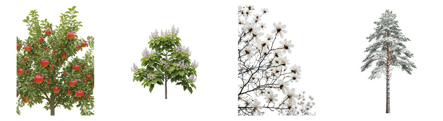 Obraz premium Forest Trees Isolated Set
