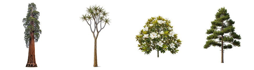 Obraz premium Forest Trees Isolated Set