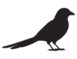 MAGPIE SILHOUETTE