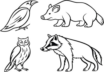 Forest Animals Line Drawing Set with Bird Owl Boar and Raccoon