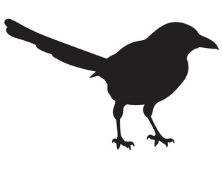 MAGPIE SILHOUETTE