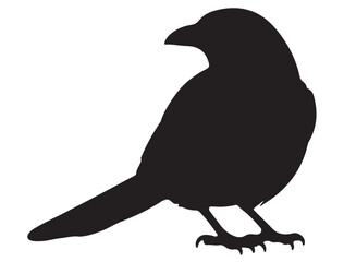 MAGPIE SILHOUETTE