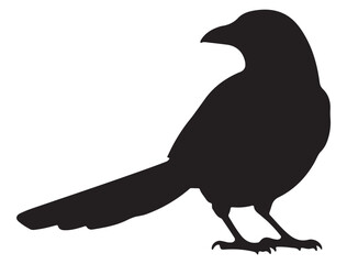 MAGPIE SILHOUETTE
