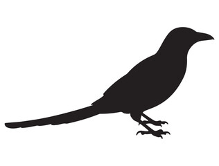 MAGPIE SILHOUETTE