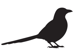 MAGPIE SILHOUETTE
